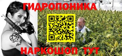 СК Тулун