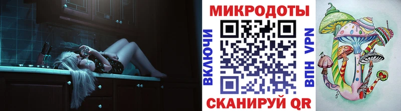 Псилоцибиновые грибы Cubensis  Сокол 