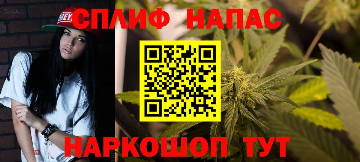 Канабис ГИДРОПОН Сокол